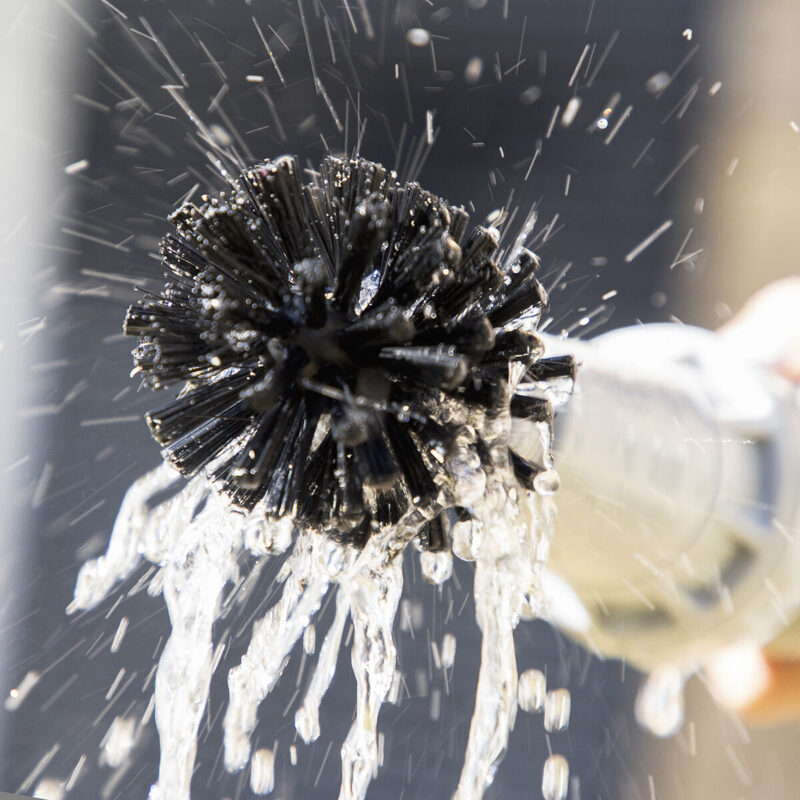 V0103499_6 V0103499_6