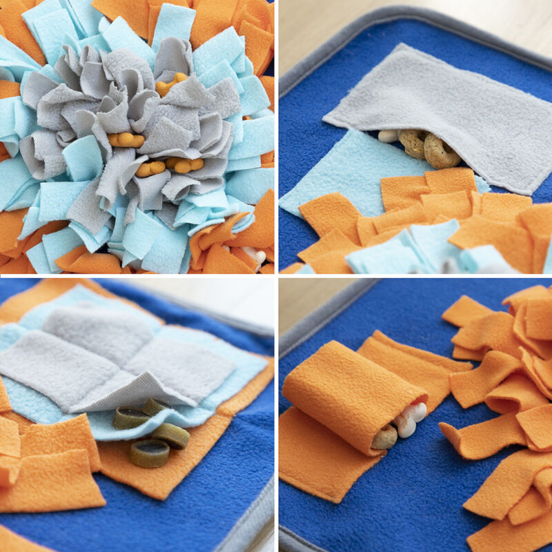 V0103607_5 V0103607_5