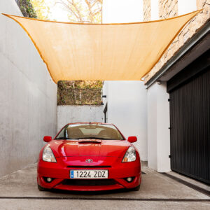 V0103876_4 V0103876_4