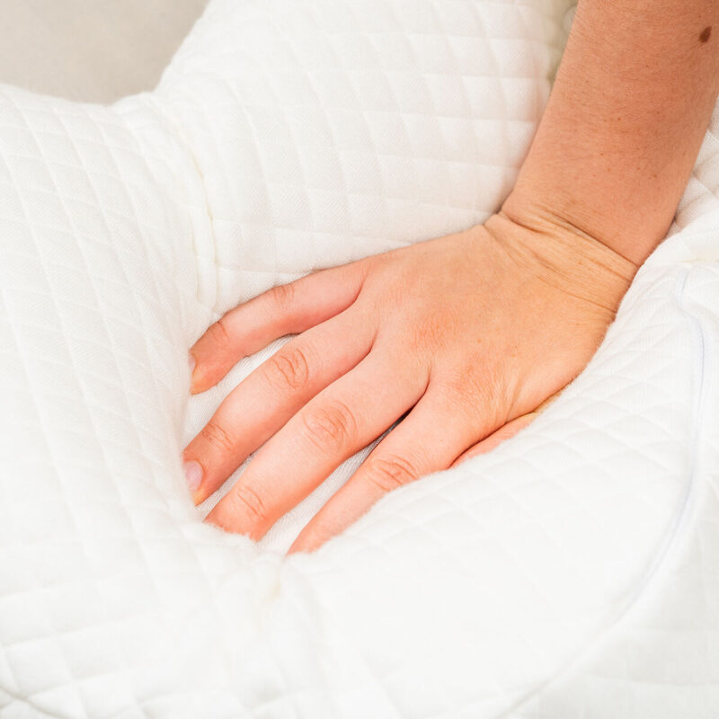 V0103896_8 V0103896_8