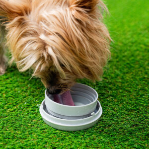 V0103920_6 V0103920_6