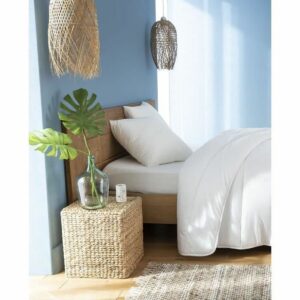 S7197201_2 S7197201_2