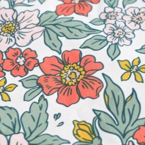 S71001581_1 S71001581_1