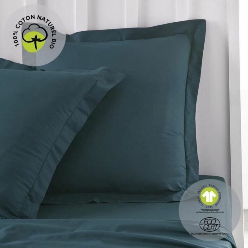 S71018718_1 S71018718_1