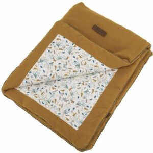 S71002401_0 S71002401_0