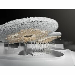 S71017256_15 S71017256_15