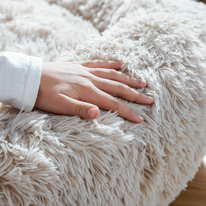 V0103864_8 V0103864_8