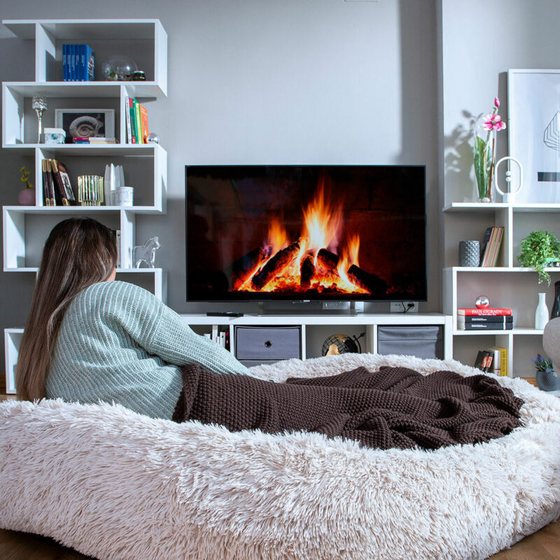 V0103864_11 V0103864_11