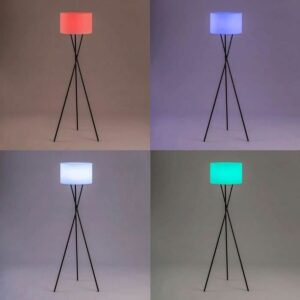 S71004597_1 S71004597_1