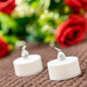 V0103821_3 V0103821_3