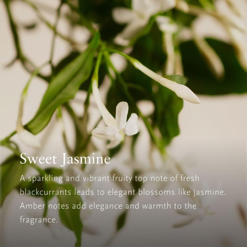 S05147426_3 S05147426_3