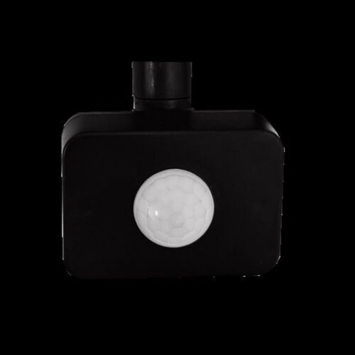 S0455967_0 S0455967_0