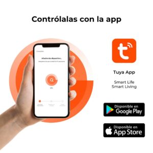 S1905797_6 S1905797_6