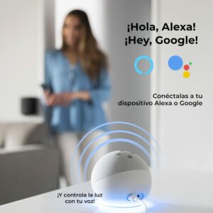 S1905797_8 S1905797_8