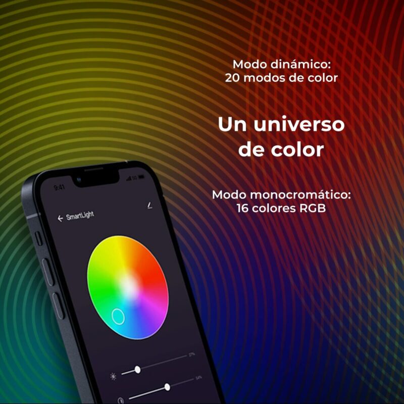 S1905797_10 S1905797_10