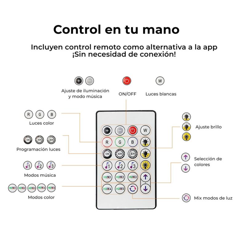 S1905797_11 S1905797_11