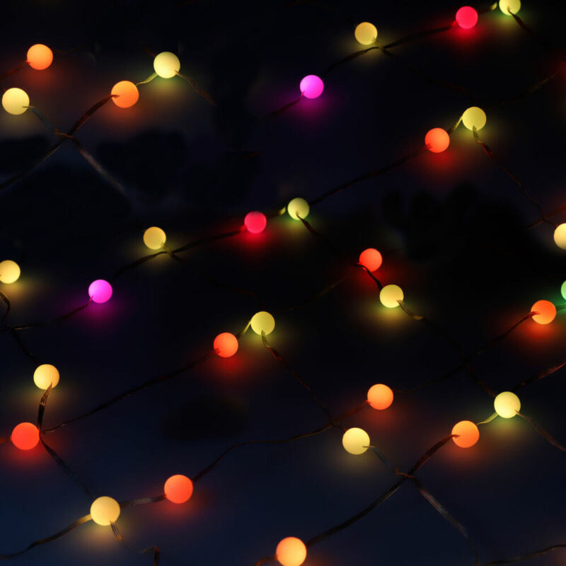 S1905797_2 S1905797_2