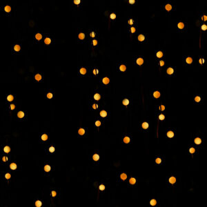 S1905797_16 S1905797_16