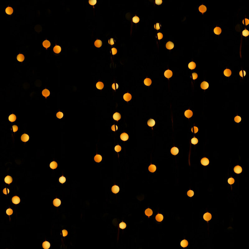 S1905797_16 S1905797_16