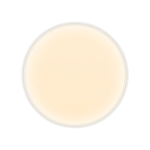 S1906993_4 S1906993_4