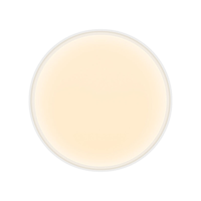 S1906993_4 S1906993_4