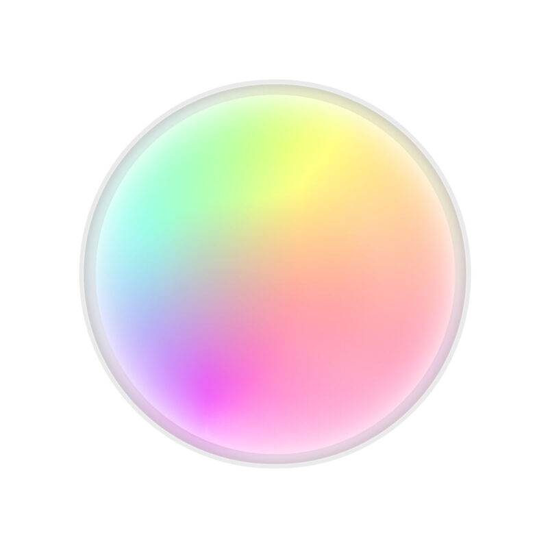 S1906993_5 S1906993_5