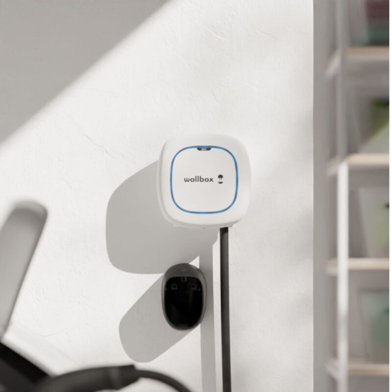 S1906955_2 S1906955_2