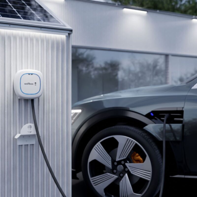 S1906955_4 S1906955_4