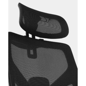 S0459782_1 S0459782_1