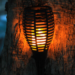 S7151113_2 S7151113_2