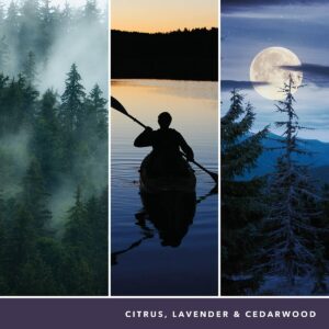 M0125634_5 M0125634_5