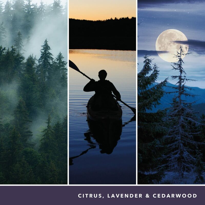 M0125634_5 M0125634_5