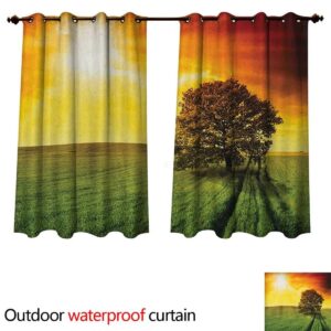 M0810316_1 M0810316_1