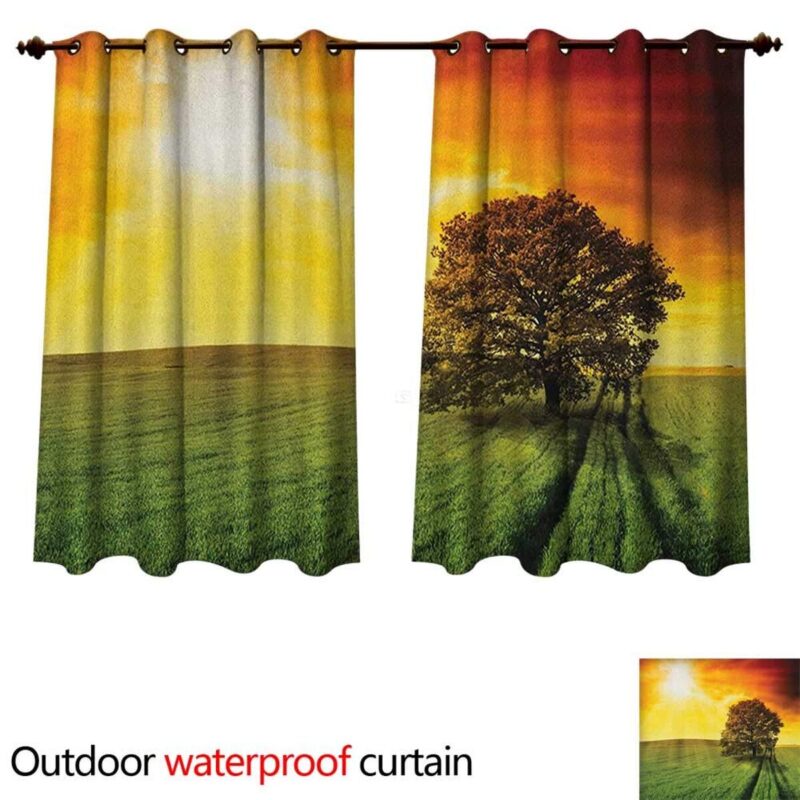 M0810316_1 M0810316_1