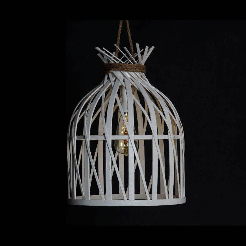 S3014567_1 S3014567_1