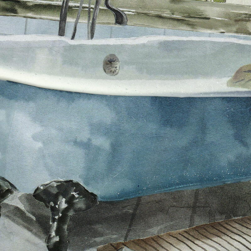 S3018118_1 S3018118_1