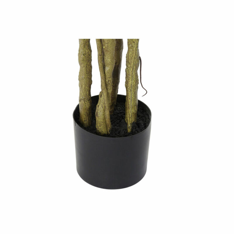 S3030482_2 S3030482_2