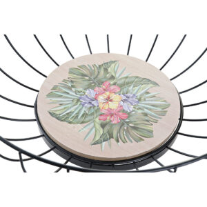 S3036999_1 S3036999_1