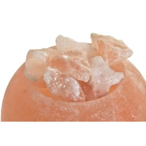 S3031395_1 S3031395_1