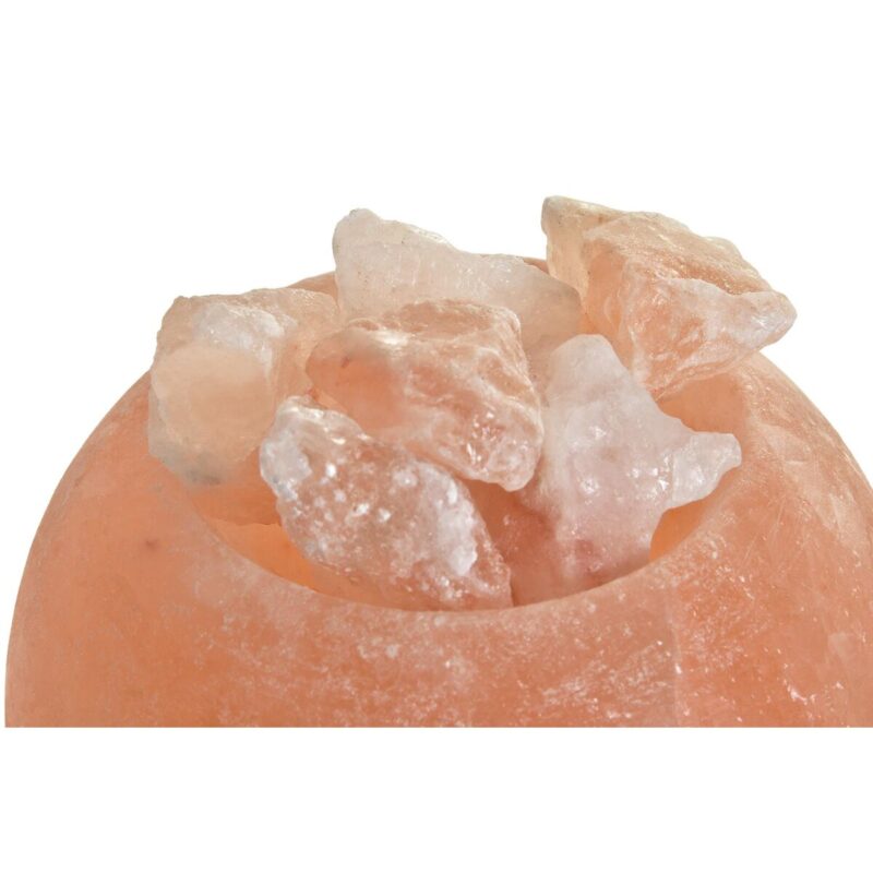 S3031395_1 S3031395_1