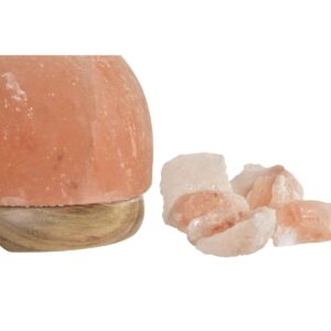 S3031395_3 S3031395_3