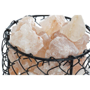 S3031397_1 S3031397_1