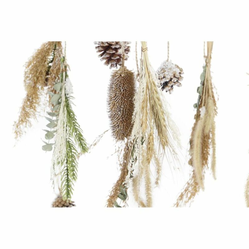 S3036095_2 S3036095_2