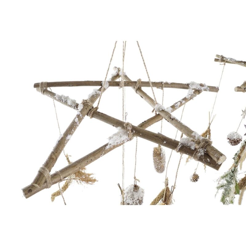 S3036095_1 S3036095_1