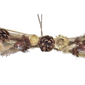 S3036096_1 S3036096_1