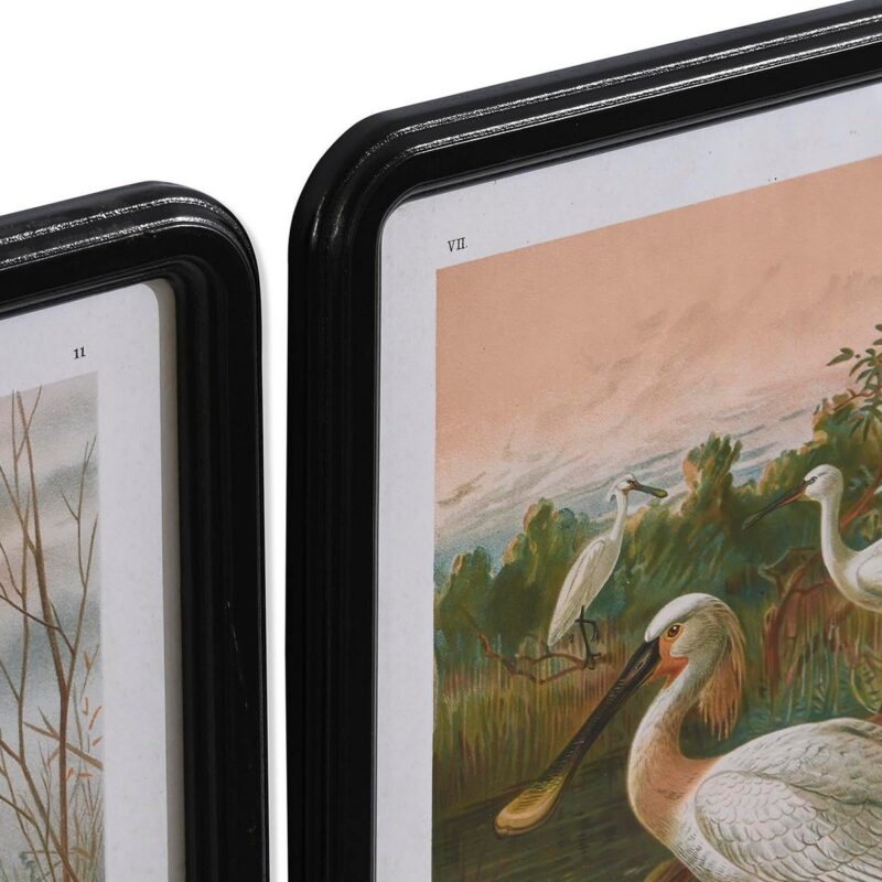 S3038850_1 S3038850_1