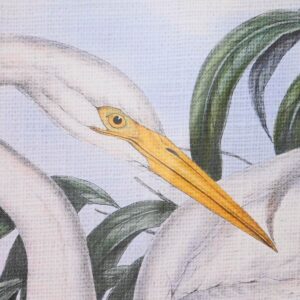 S3038851_2 S3038851_2