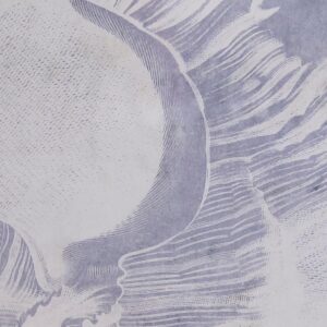 S3038864_2 S3038864_2