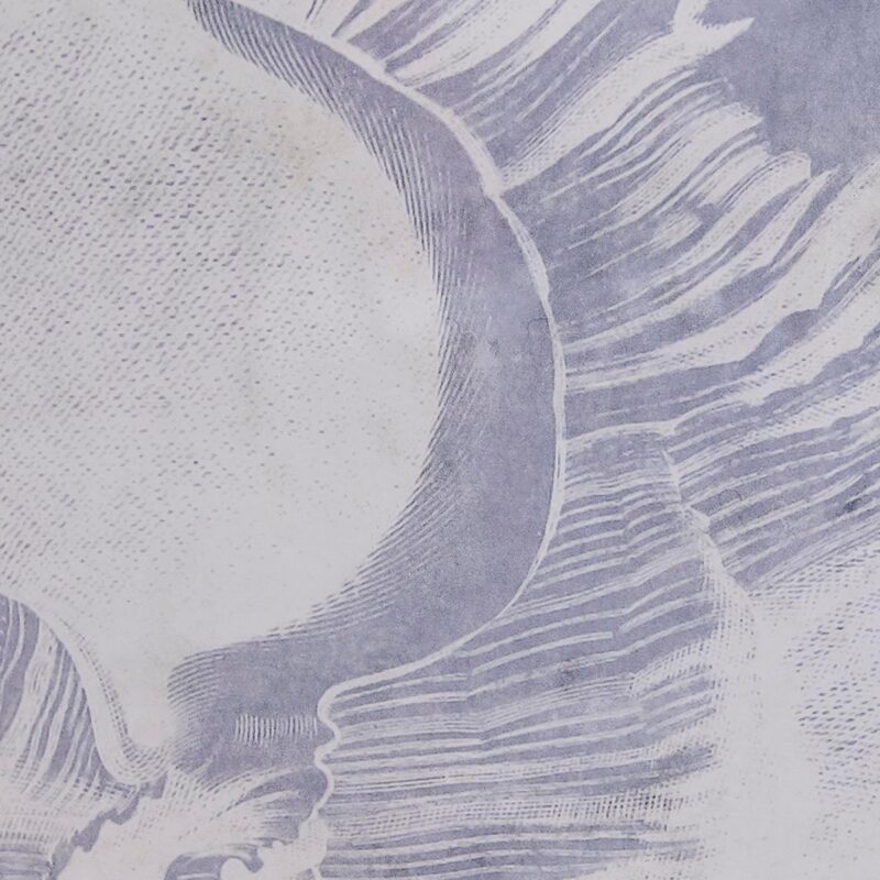 S3038864_2 S3038864_2