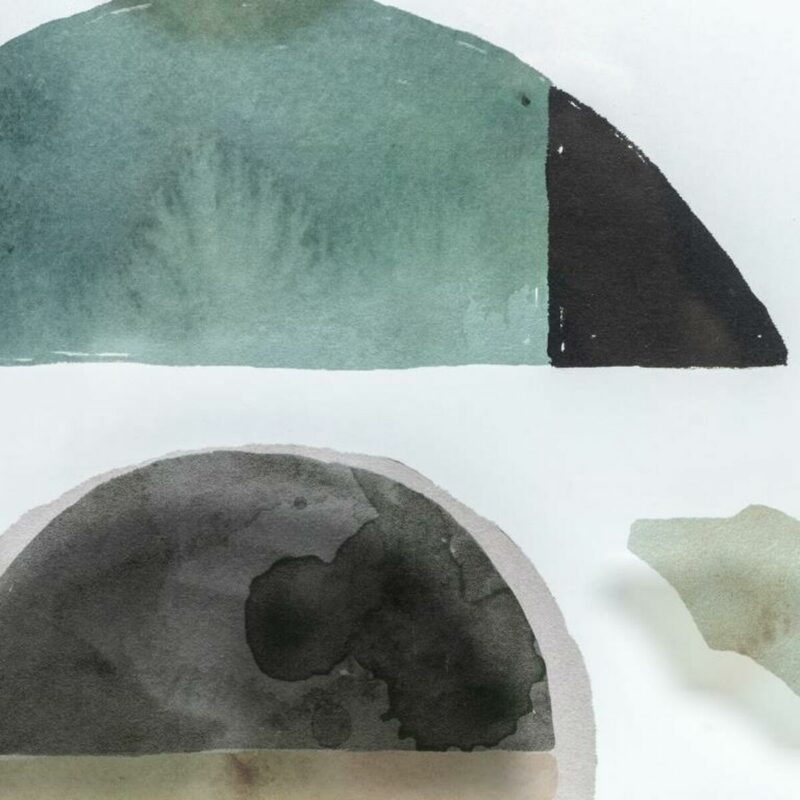 S3038886_1 S3038886_1